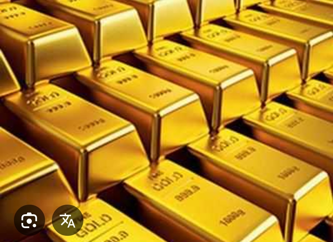 *_तमिलनाडु: श्रीलंका से तस्करी कर लाए गए ₹8 करोड़ के सोने के बिस्कुट जब्त_*